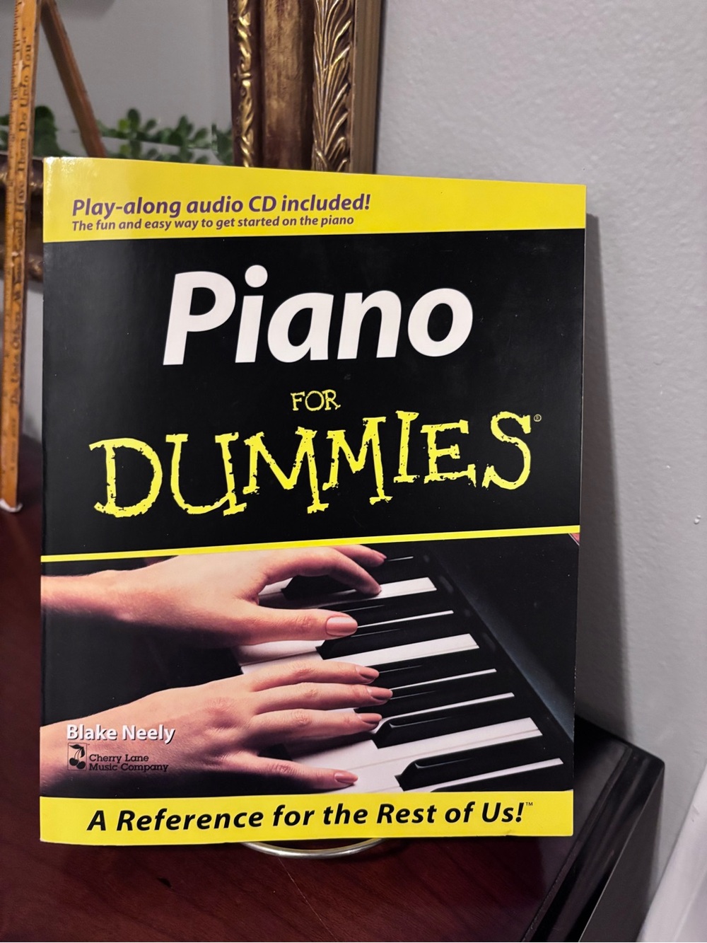 Piano For Dummies Instruction Book w/Play along audio CD included